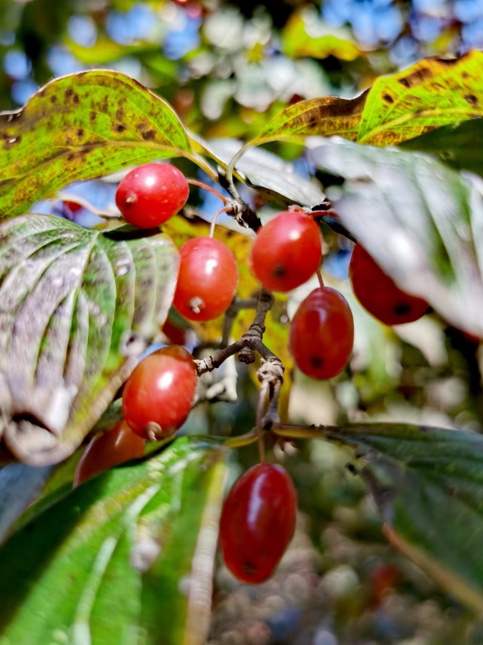 -f7LaxSgBhwQ8hCEoA7KPlOB8bRmnKIFQ0tsr2ZH5peNEASl9W5EEk6-YnwFaUj2