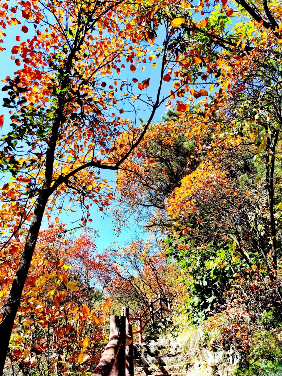 -f7LaxSgBhwQ8hCEoA7KPh_wF_SsIIj_qU1Xgk1xhBEBB5RspLk4Lv09IQVD_OoT