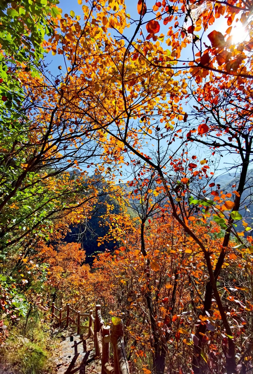 -f7LaxSgBhwQ8hCEoA7KPion-2Tk0XHQScaIjgqjyV7M00TsBo4EmB1yGf1owAFV