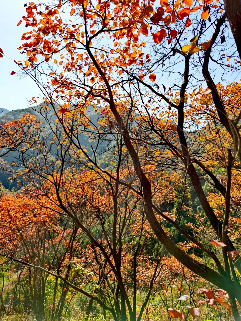 -f7LaxSgBhwQ8hCEoA7KPs2HAjyFzsxorMcDnTFUb8OjWwCcyRYrZoWfXs8LU-yv