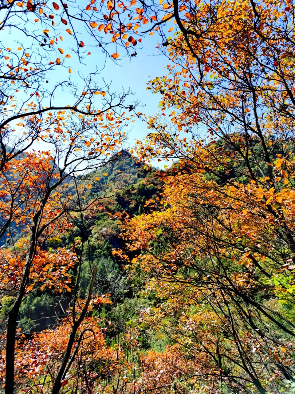 -f7LaxSgBhwQ8hCEoA7KPjF7aGZ3B-EjJTI0ufGJ23D8UF5UZie9AkqTMQXj7WVe