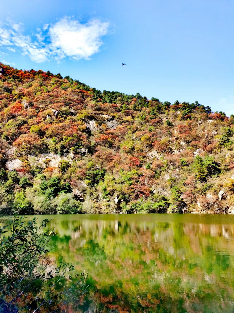 -f7LaxSgBhwQ8hCEoA7KPnzrcLast23fSuLfUoCVmIvUezYIlBj5XZg3lRX1h37j