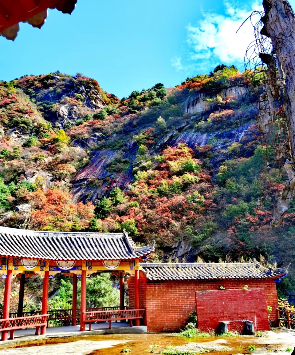 -f7LaxSgBhwQ8hCEoA7KPus53ft-zKwPsW6m-DZFMZjtYS-5XWjeRsYd3L50IB1M