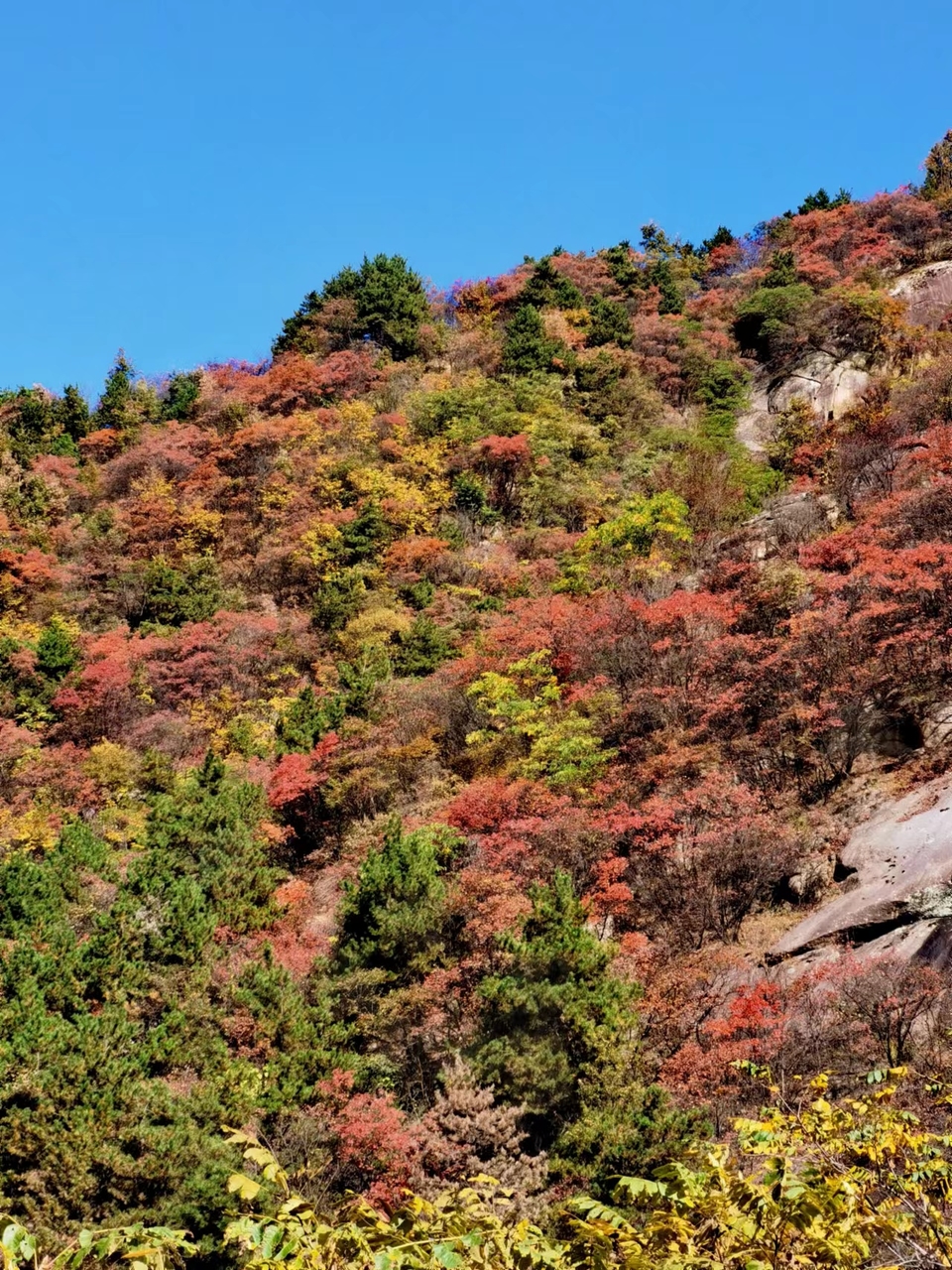 -f7LaxSgBhwQ8hCEoA7KPqK359UFX243X9D3JBOXDkjW26sZrZSljqc10mZIBhX6