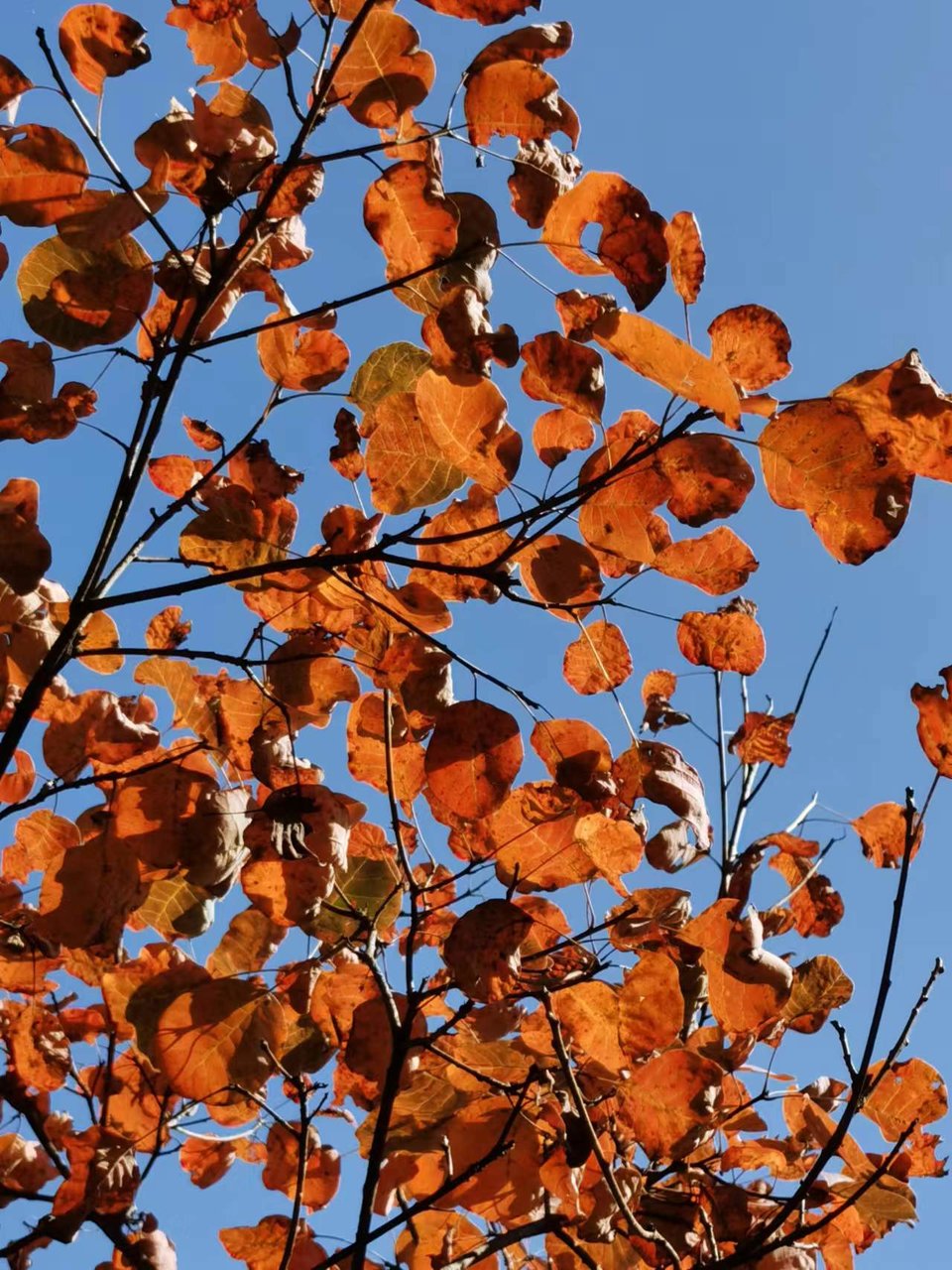 -f7LaxSgBhwQ8hCEoA7KPvqKBfuzloxzmRs1F5q-kNOLLMHtr96ZAc65u3eV7IfE