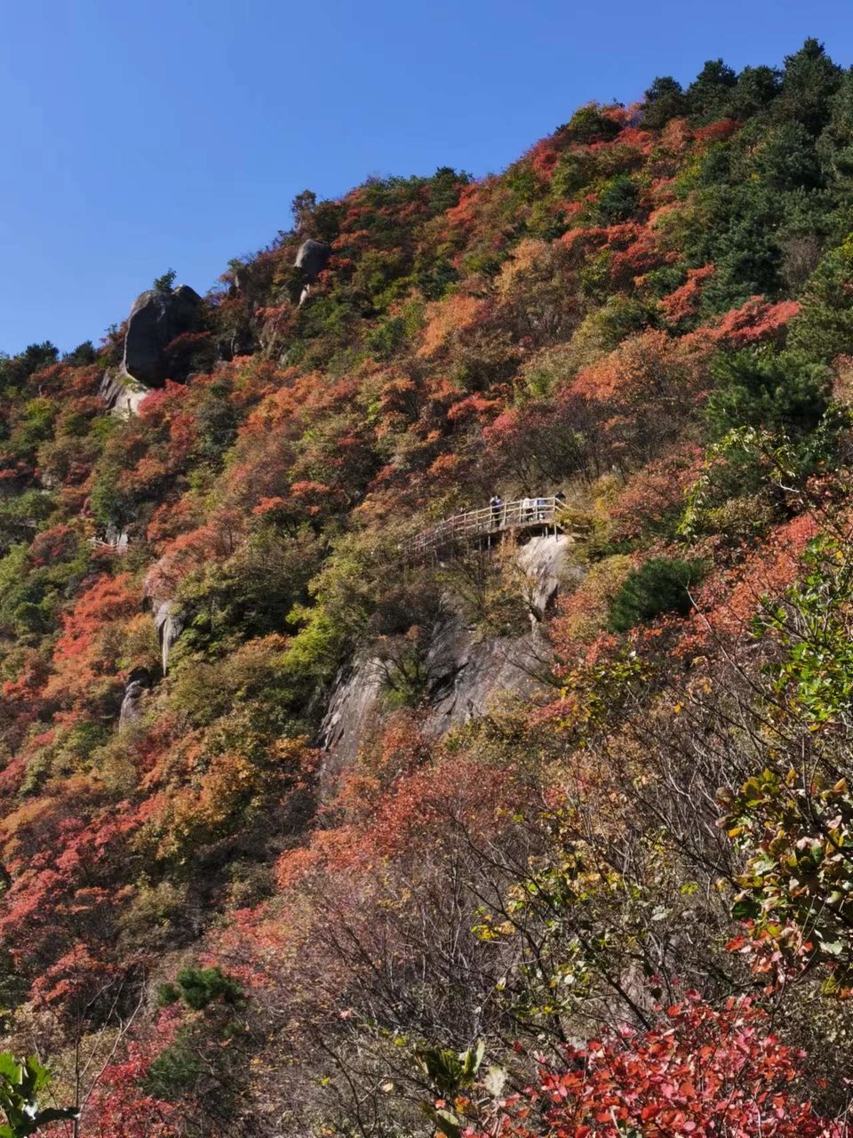 -f7LaxSgBhwQ8hCEoA7KPq3Ii65rN8ACDdKJltM8CSXf2ftc-8hbblaG5Pm5aW56