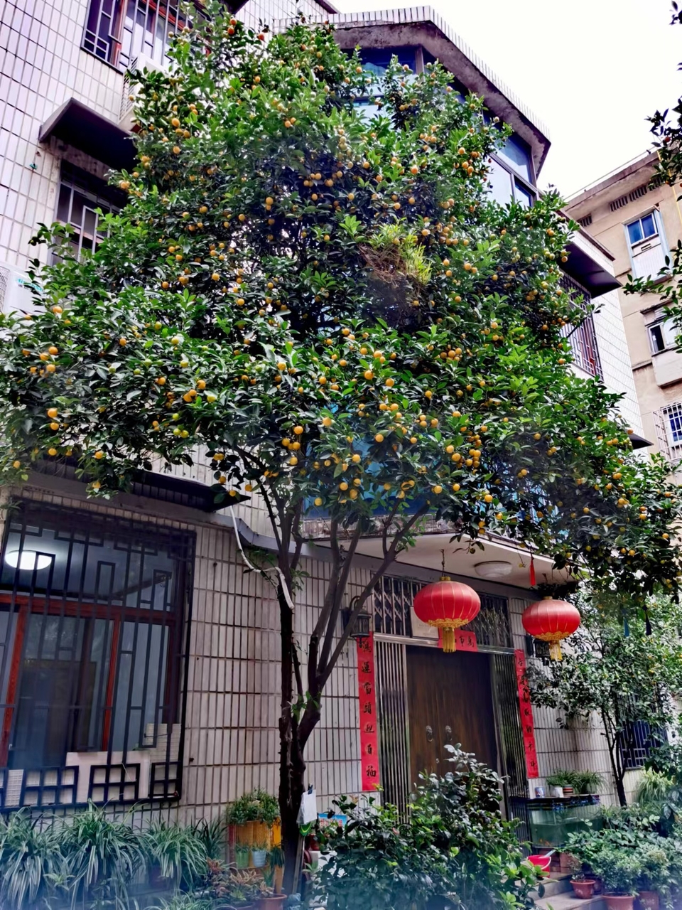 -f7LaxSgBhwQ8hCEoA7KPhsBHC4YY1uwsa_vxvGhcYSBAIgE9VjCz88qwYjx-4g3