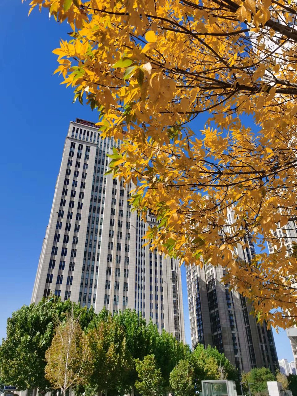 Arse734-3rN6qUUDW2G4_d2kquSny-kfkXaJkeggAqNDoZTdzxVN8sNjMeN6Ge1w