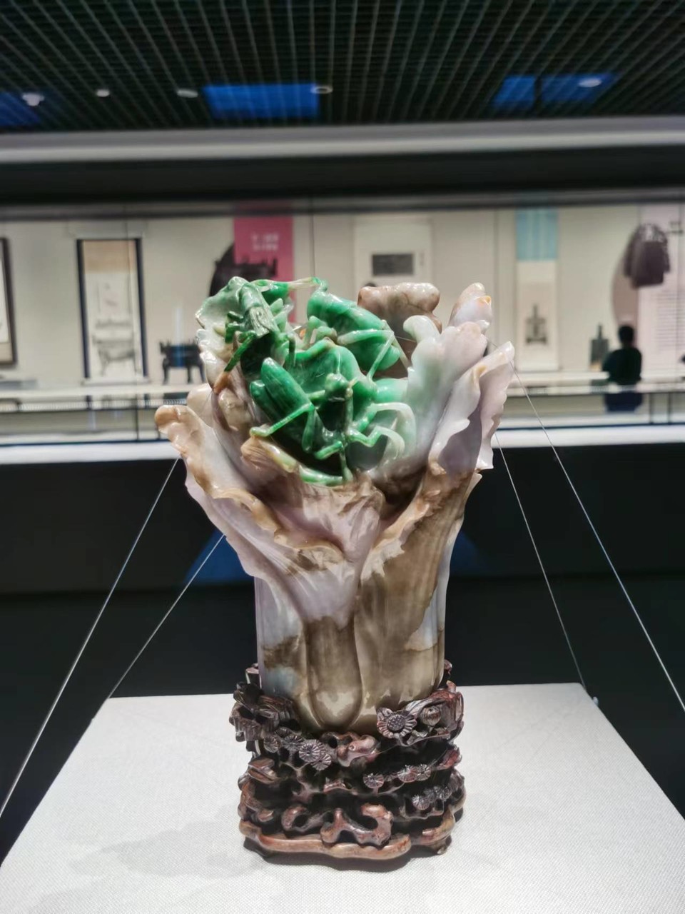 Arse734-3rN6qUUDW2G4_Qrnqucb-HLMWG1SM_XfgqJTzQQhBdjSpoTmT0mbY3Ja