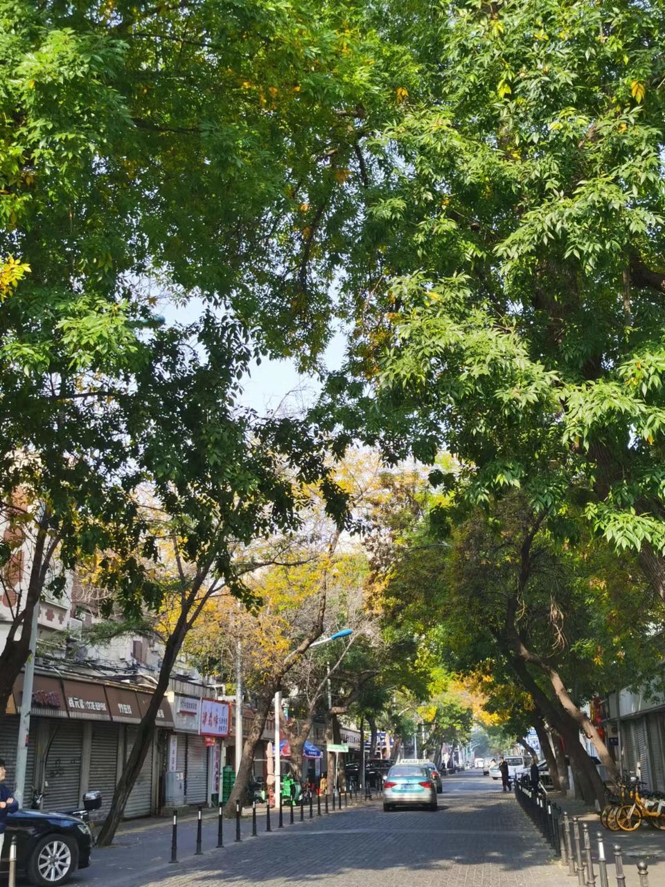 Arse734-3rN6qUUDW2G4_SDW-tNmxQL8gnJFY9dus9Blyw_y9DaQKmcjpJu4VYWJ