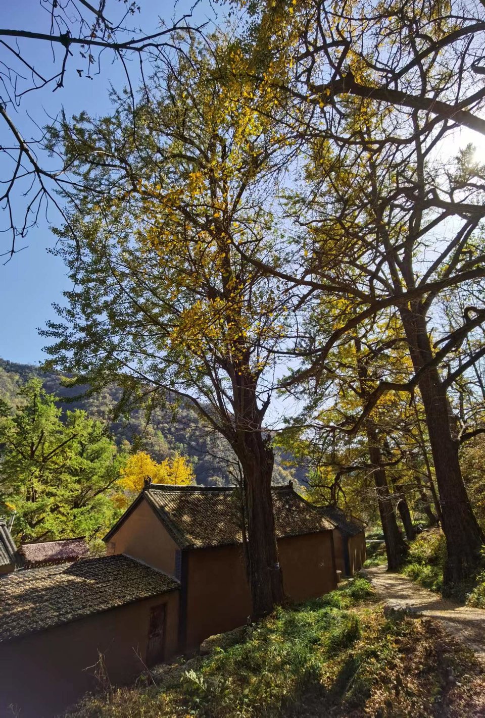 tsbdqydMlkI7JE6_Y1UcvidG3JyMHPRnn81wBpjuqbJ0jihRm89tbp20yAX0f28x