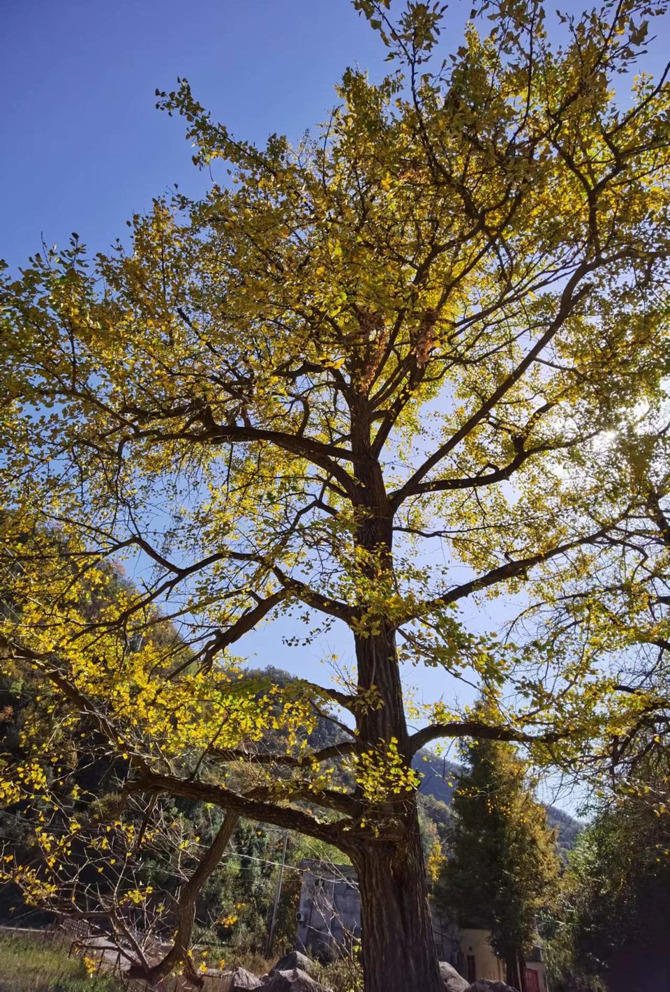 tsbdqydMlkI7JE6_Y1UcvlG1ywUWj7f1X5fKupPbbIaSoplK7ludnc1CUvlnmrgw