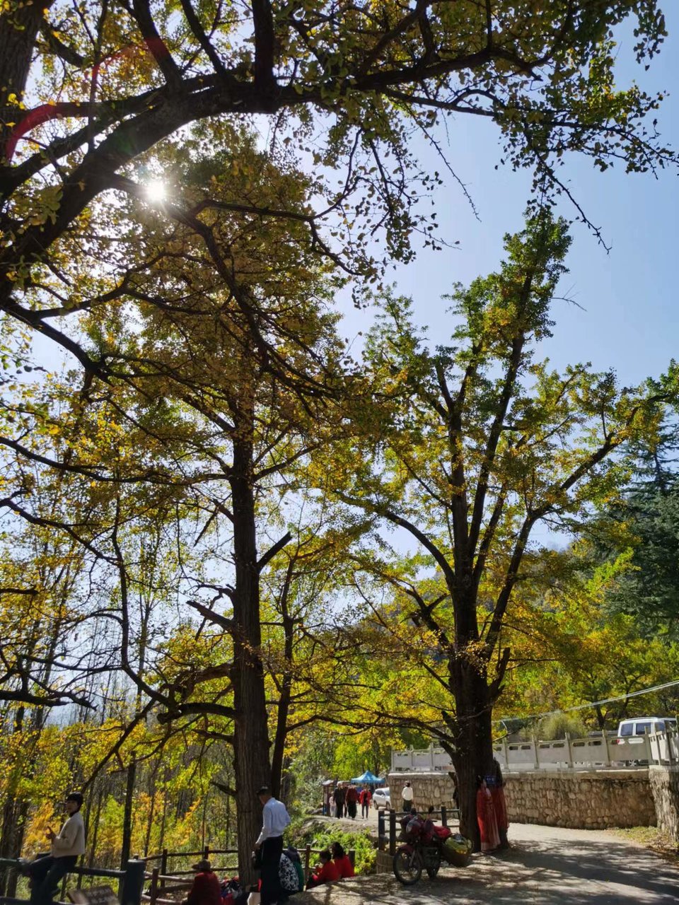 tsbdqydMlkI7JE6_Y1Ucvn_Cu8VD6XS3jpEfy4tWNLQtipImNqC4aB3SB1hnuXzb