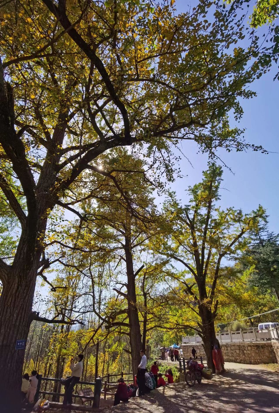 tsbdqydMlkI7JE6_Y1UcvjasxUZp16I3S4wAr05rPWeGaV9r7_KdWfEsXAoCbn0c