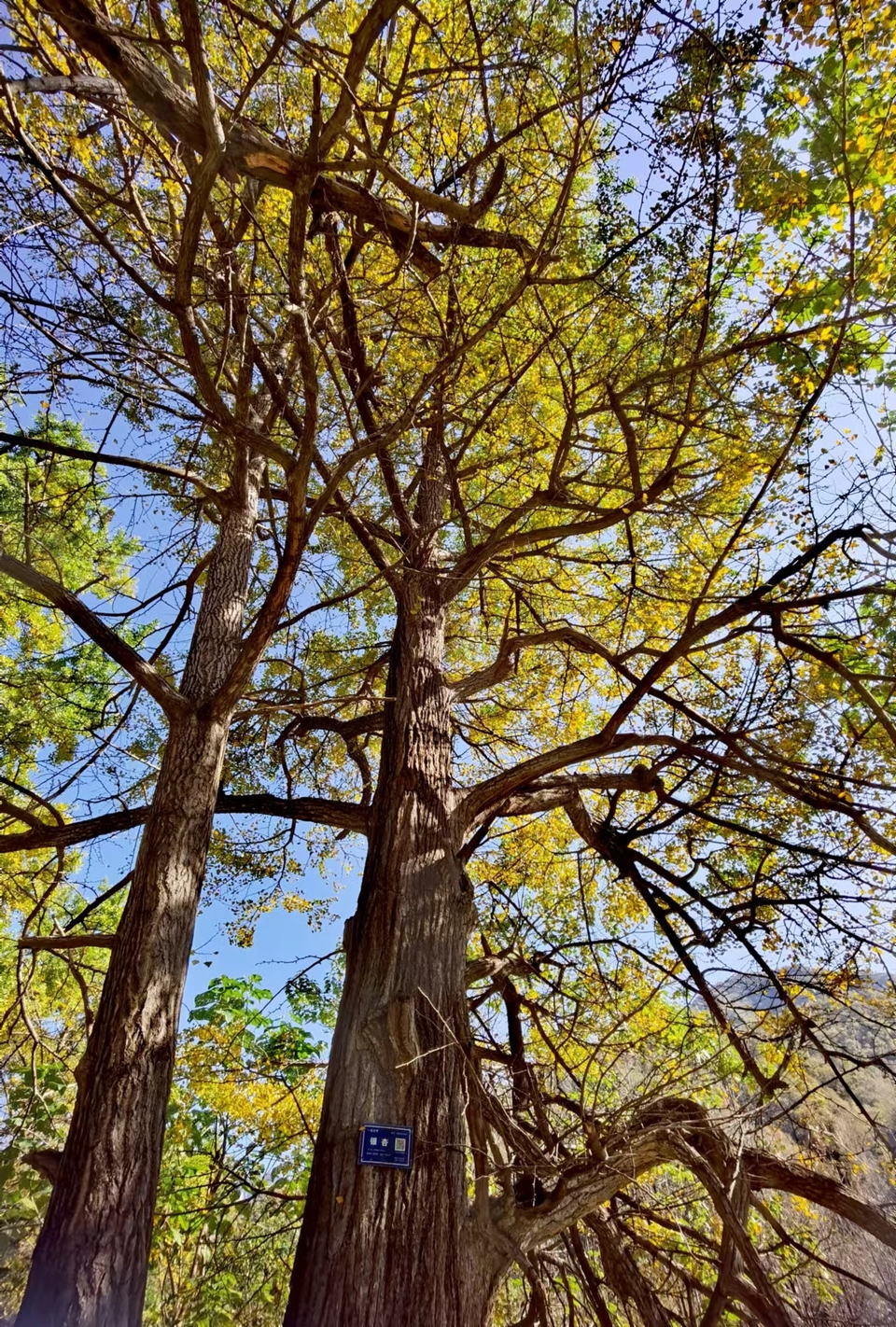 tsbdqydMlkI7JE6_Y1Ucvr38muEPVOxj-oB562bb_x6b2A-4wtN2YGj3cS6tq1U8