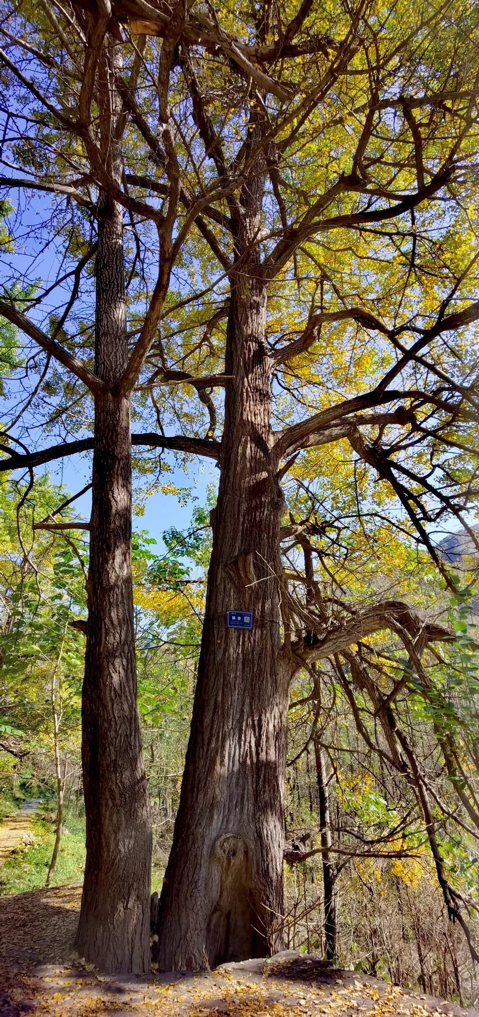 tsbdqydMlkI7JE6_Y1UcvrzZANI4mux8hTJgMjytG5SRPElyPsX14P2bGA20AxCo