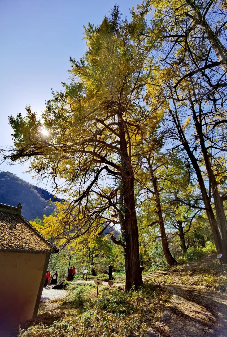 tsbdqydMlkI7JE6_Y1UcvhH0rLYWmxQeuREhHcBjThJbEKrq3YC8mZIjnBMkSGRN