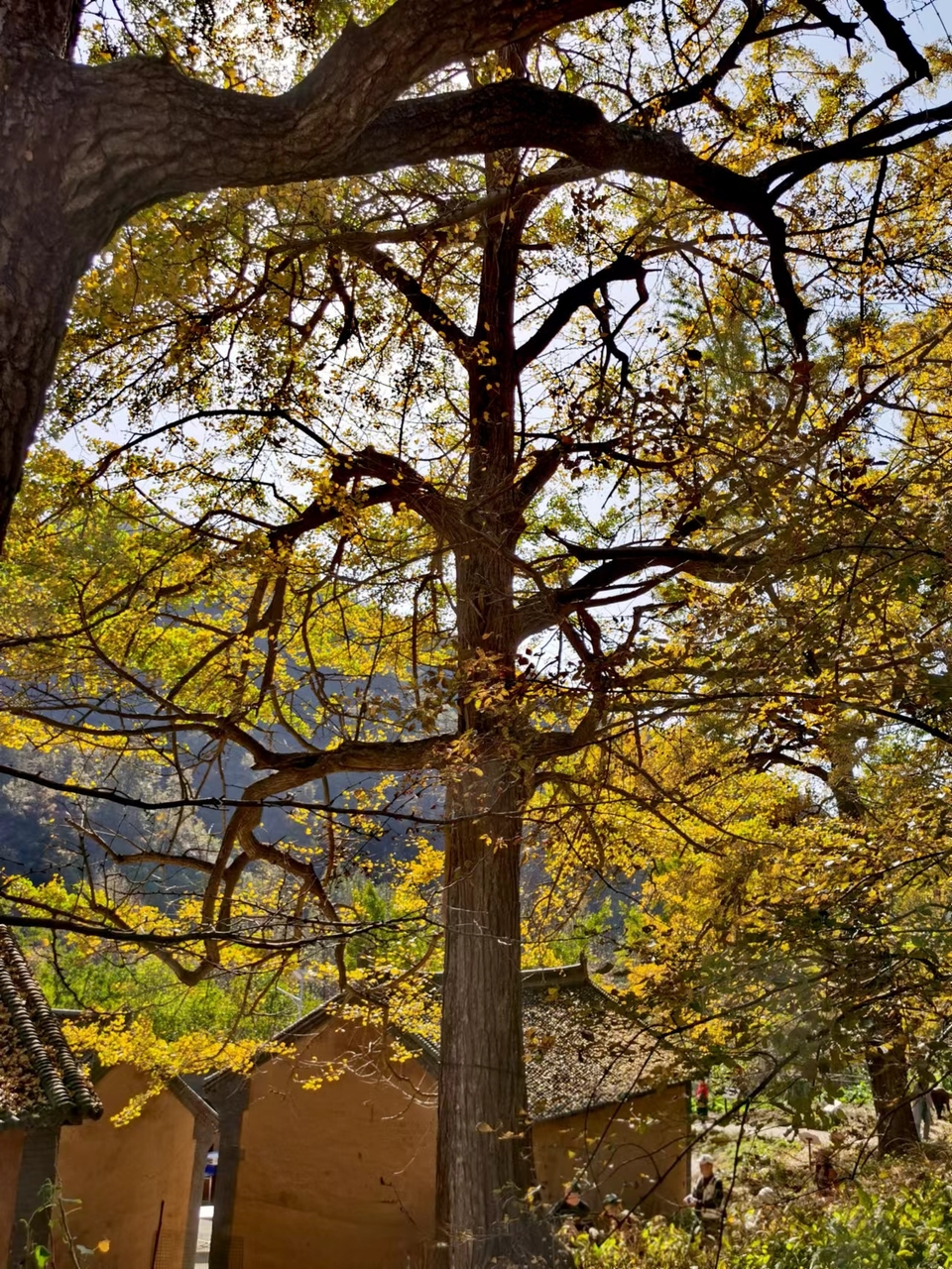 tsbdqydMlkI7JE6_Y1Ucvisc_GDhelL7xfpmrS_0_dnKjDPODJgLiYz1jSg-7fVg