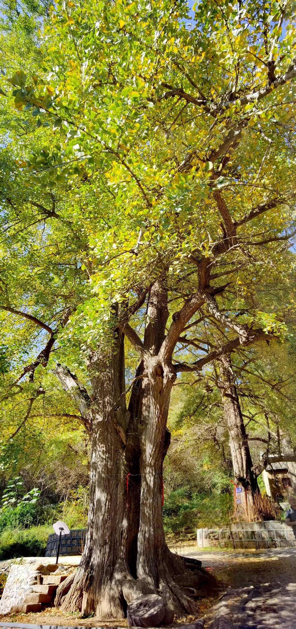 wODwBhTMlECRpDjabvNOU3_eJqdO7juPoLDfi5oemWr_sUWp12E0QaHbZOxEU4JT