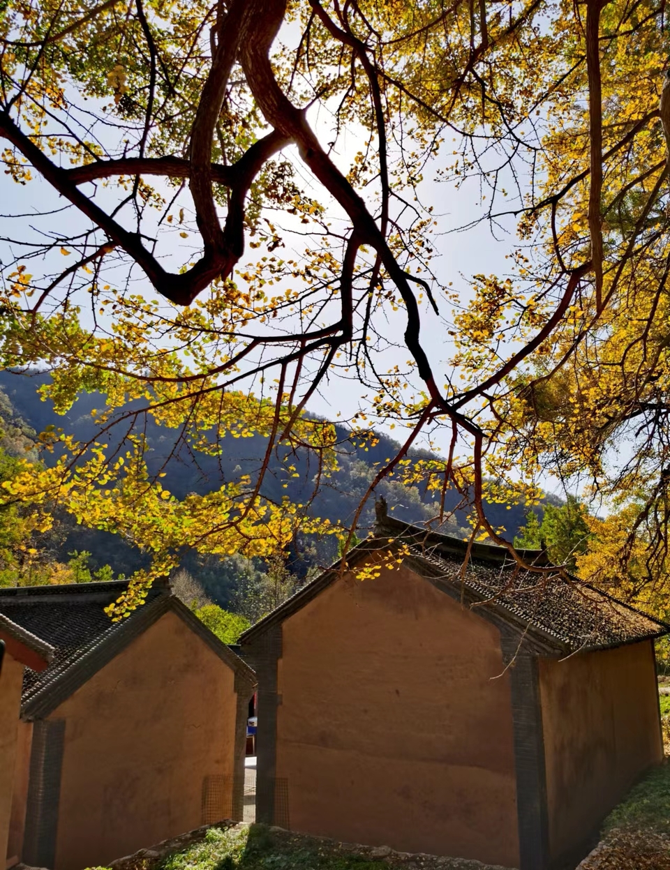 wODwBhTMlECRpDjabvNOUwLHv9HWw2cxt4lE999J08L97HKud_zXNG77e5kxI0xc