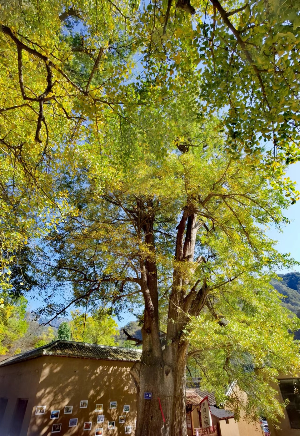 wODwBhTMlECRpDjabvNOU6dIRXLgdvCS_Qn77TJ75e9OToWE2PeamuCS3PprRYQZ