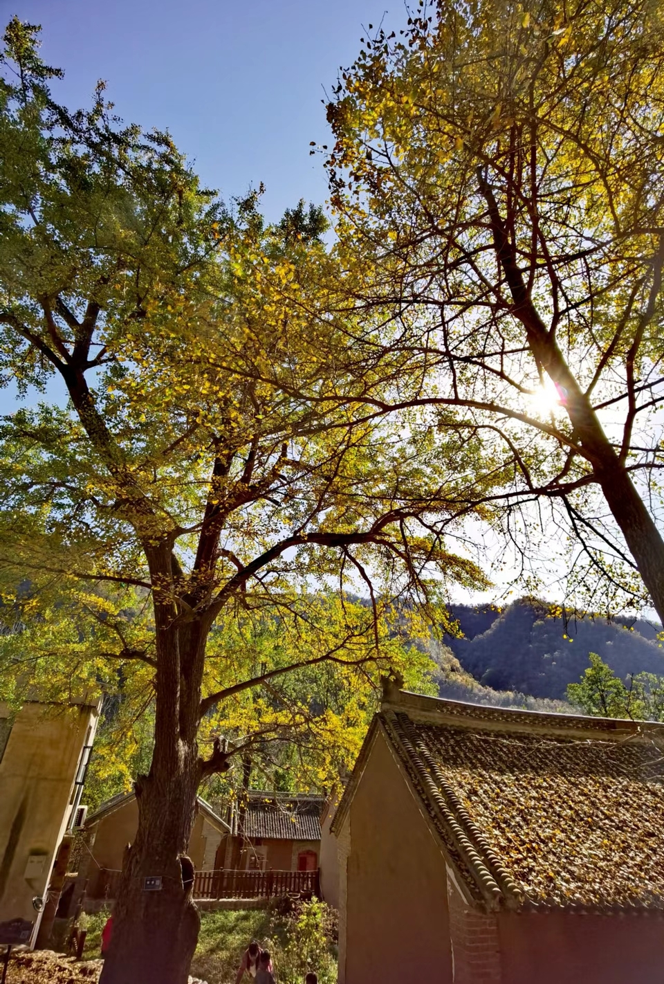 wODwBhTMlECRpDjabvNOU79Y4uEL-utafPm5ycU5fgJ6ajtHQvTzKQCP7HgaRPB6