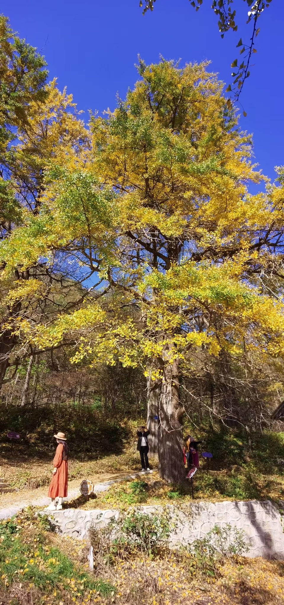 wODwBhTMlECRpDjabvNOU1npEtxSqTHQJfQoCKw8dib-ioPXGOwk7A9LHUTUS0W4