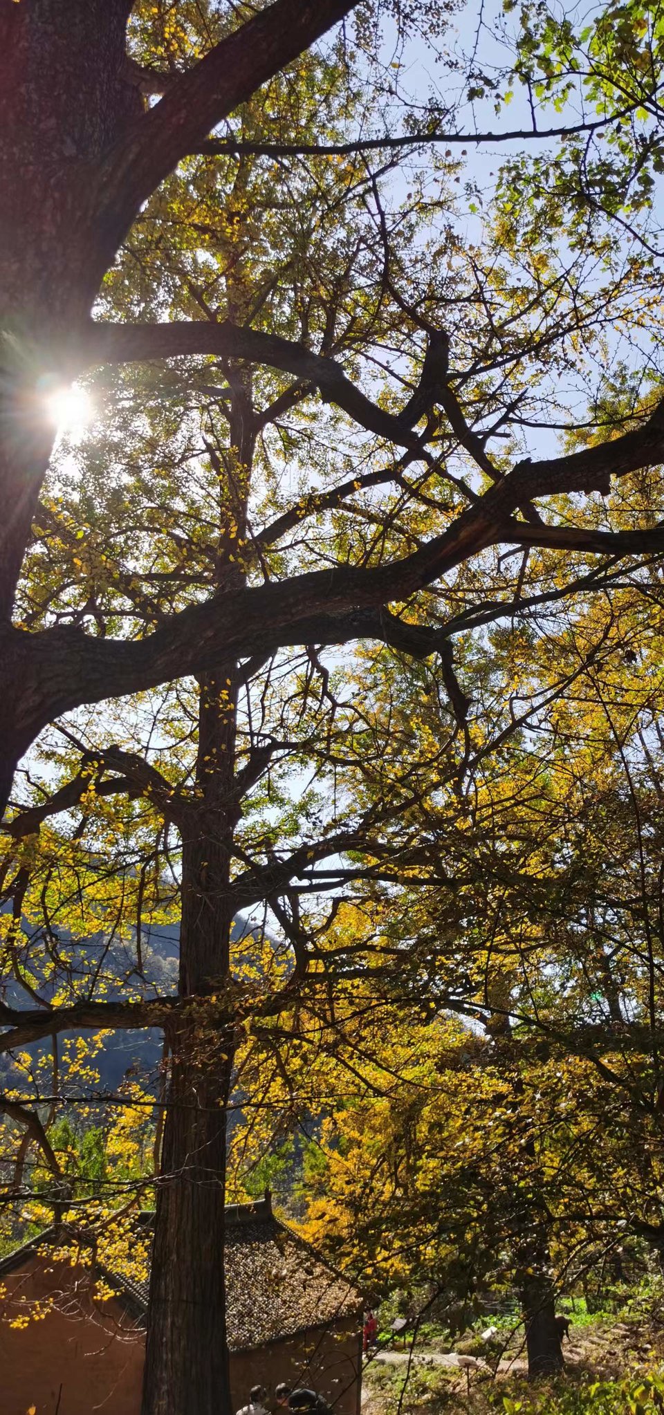 wODwBhTMlECRpDjabvNOU5mrZmKKusJQMf0cpJul62RcigL--Ws4Dir-ArTyHm34