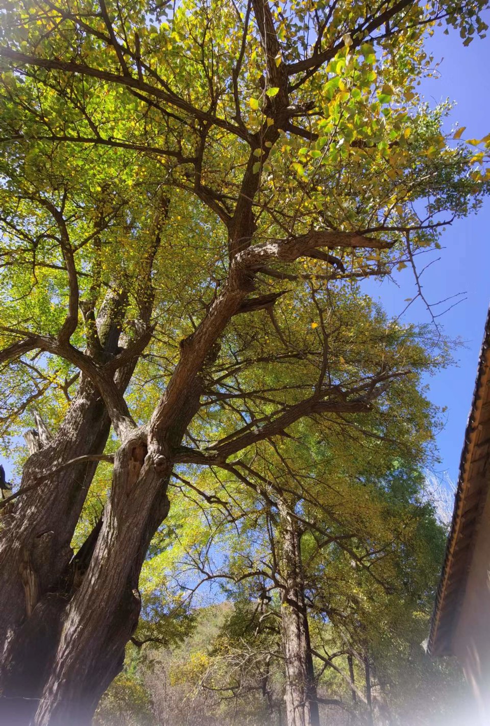 wODwBhTMlECRpDjabvNOUy1mdLCwG3To0HxwKsTJGcfduMBcoeUhPjvbvEJvI4J2