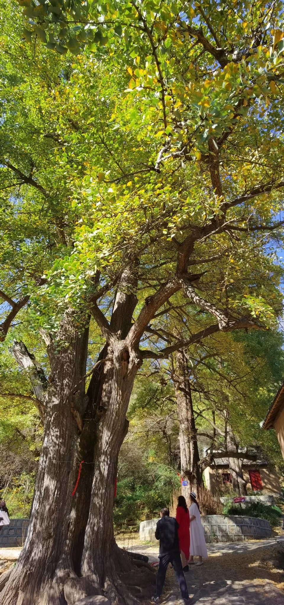 wODwBhTMlECRpDjabvNOUw6CpxQl-4-MHE1TeOhl0fZPCkhcrIJS1GW9Bz4jWKE1