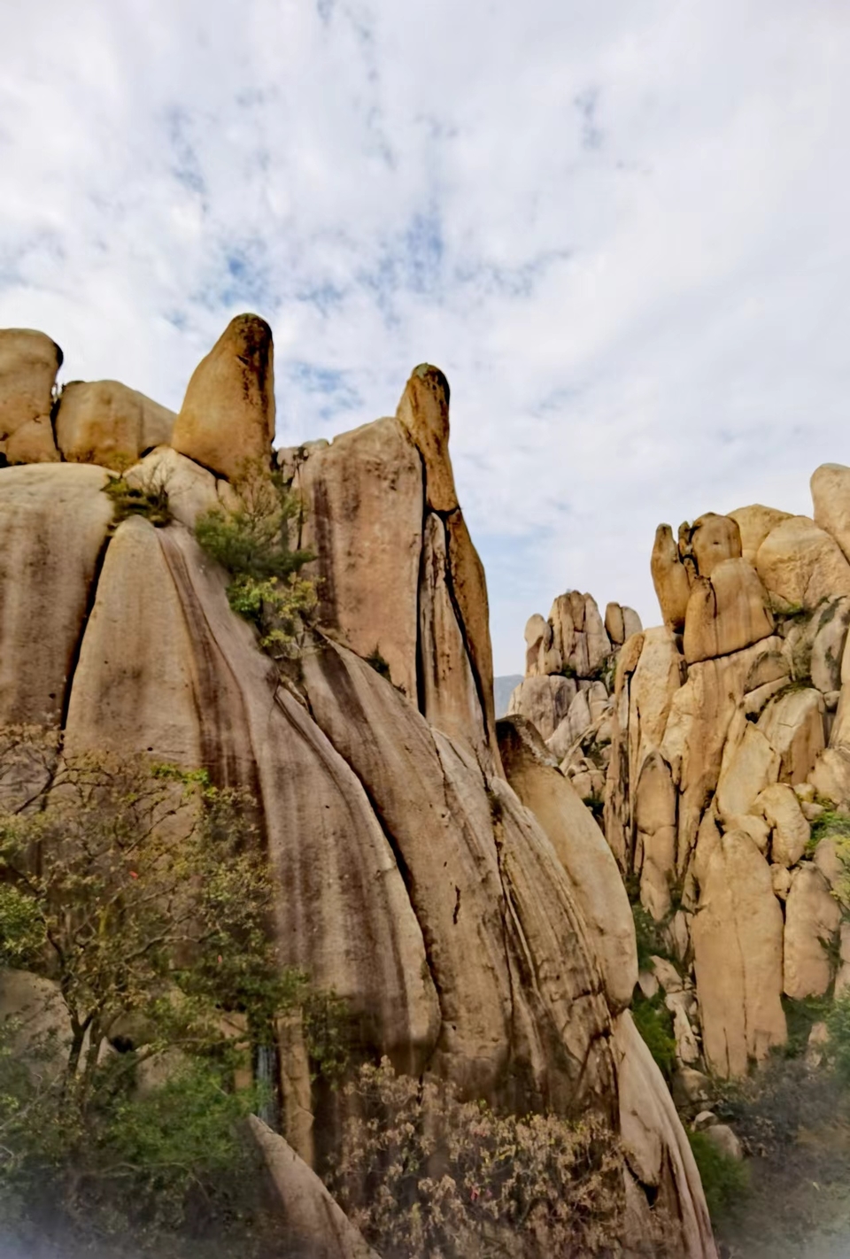 wODwBhTMlECRpDjabvNOUzQncAoRlbi7yUzRvN9ZFFShYk6h1t7NcSurQq5u7bCf