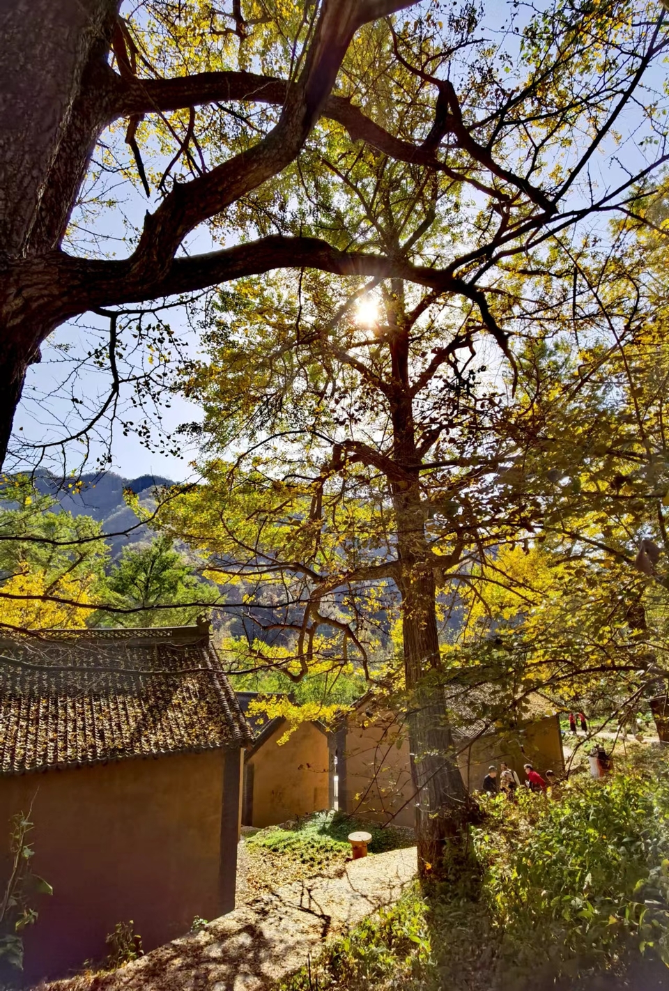 wODwBhTMlECRpDjabvNOU8ds0qG5IBJTxhKWRBuHosefVcqqU-P5ivYH9NaZb1NK