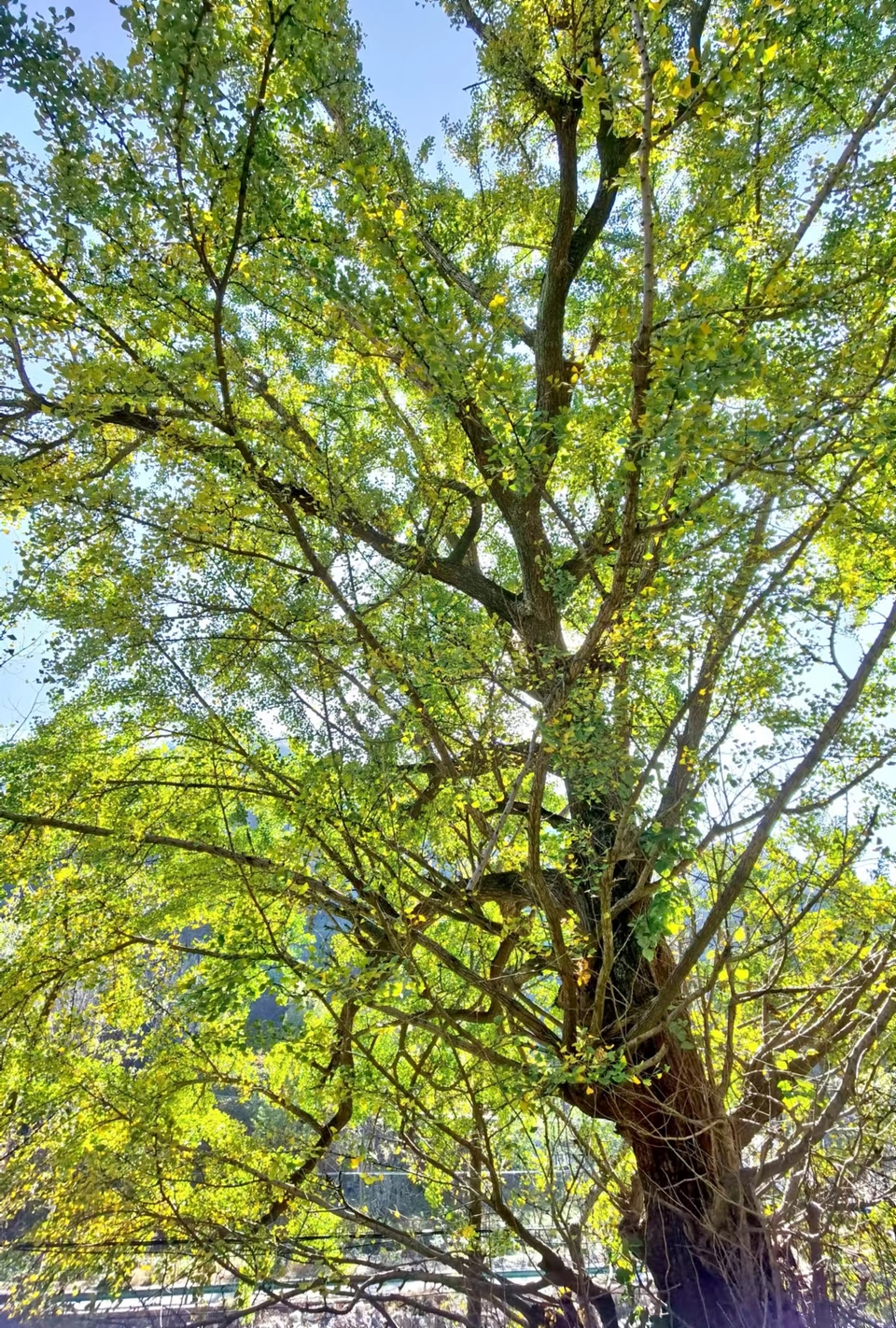 -E1YAoMb5GkCbq8iw8e6B24qh_lYVbVlGLlkoZCL1gMhmB8uJrIw-ZbFAMlRk3IG