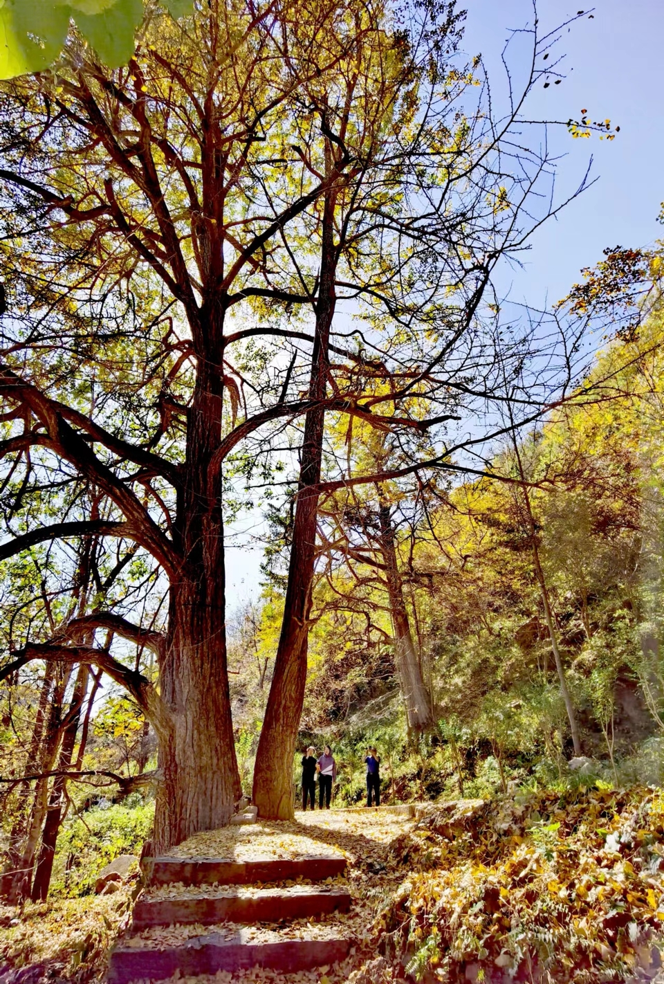 -E1YAoMb5GkCbq8iw8e6Bw-mLMzue8pvVnlTjxF4KuyTjXspRNFZQa2drPTbdBNs