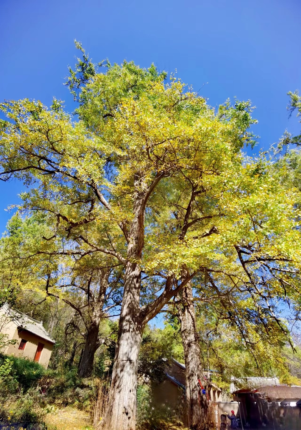 -E1YAoMb5GkCbq8iw8e6B6sW45zsH9-AyrPyW1kI9Y7WFqPh6pRi594Box3E1k7s