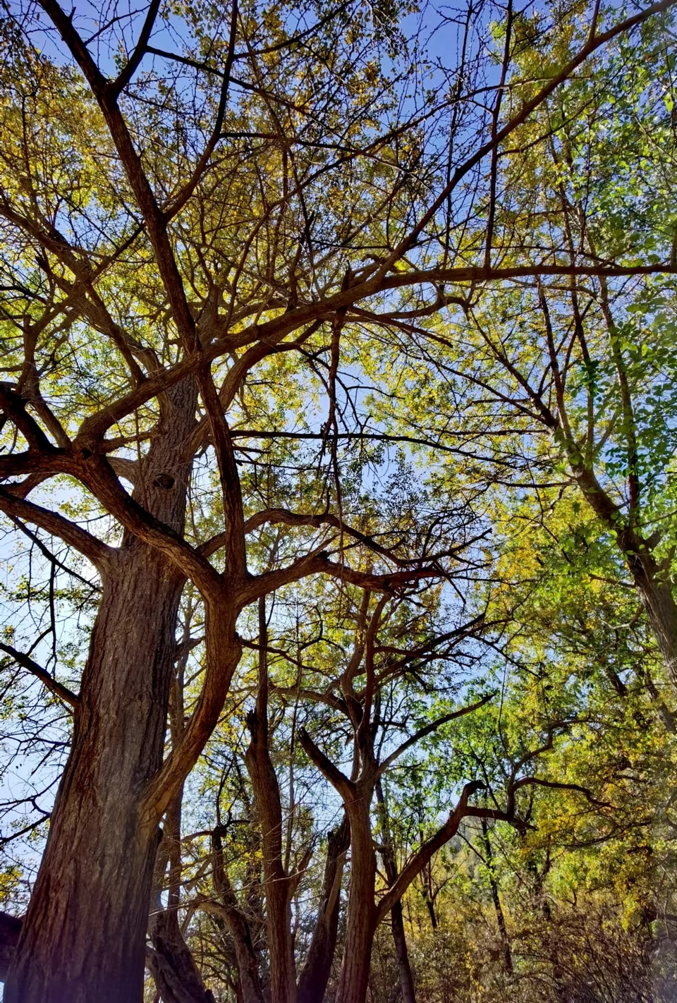 -E1YAoMb5GkCbq8iw8e6B003JJpsGn07vMba00yOtU-sJczqN9WQI9nVzBC6gq20