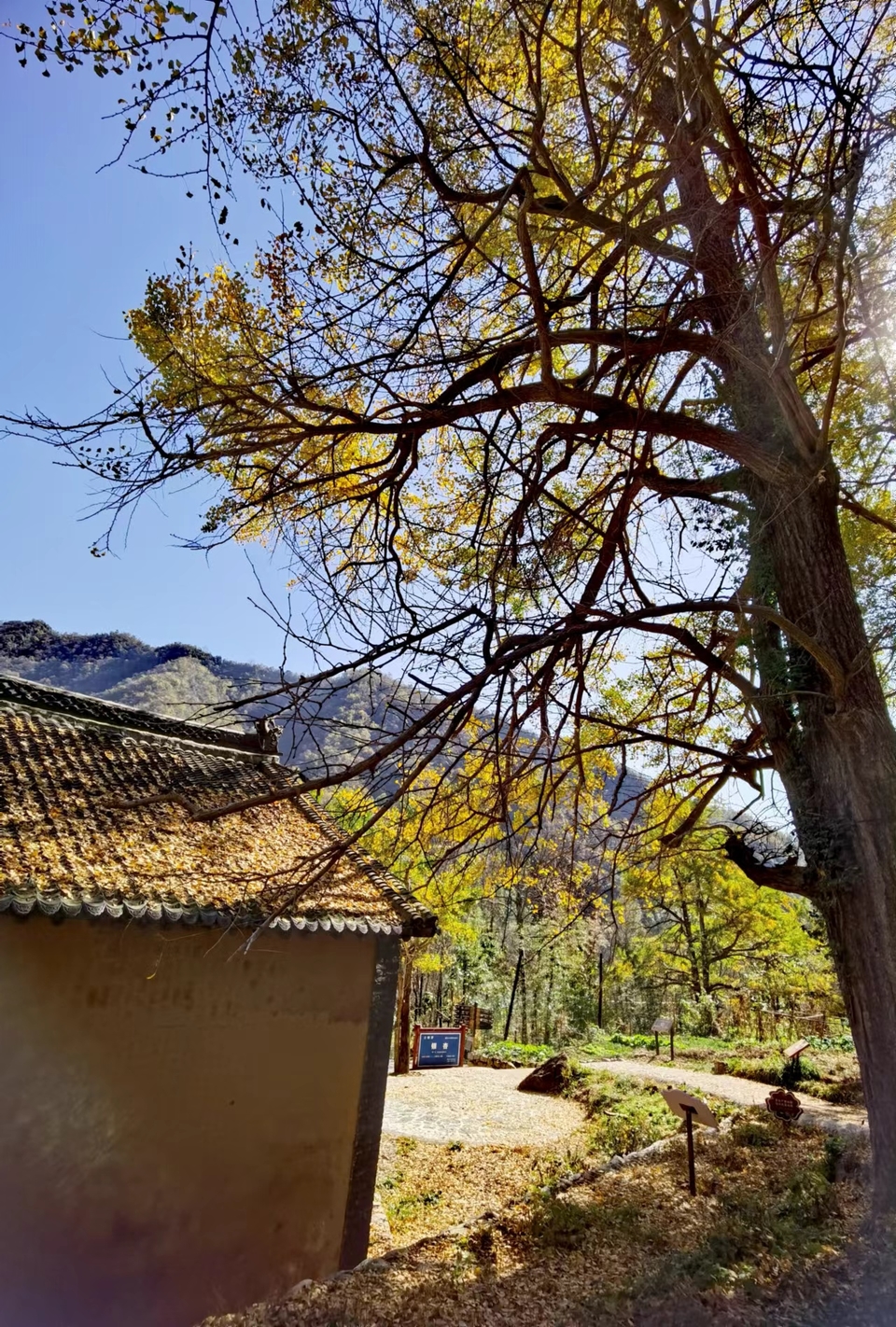 -E1YAoMb5GkCbq8iw8e6B6BxLnbbC-p0jkhrevNNDXNtBPjiKWrNsIYZEv0f9zHa