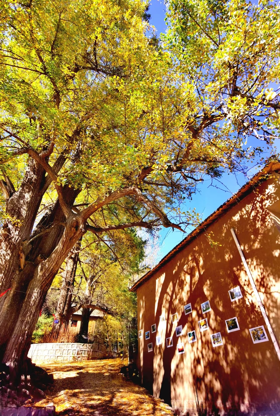 -E1YAoMb5GkCbq8iw8e6B401wclCvwtX4phFvS8MzFUFI-KiTyn2BRsKCLB91-5D