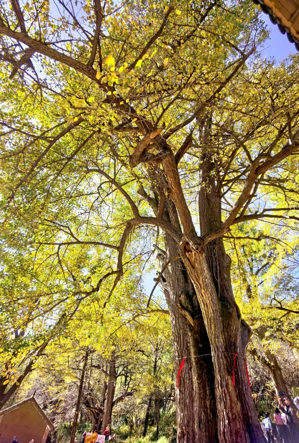 -E1YAoMb5GkCbq8iw8e6ByAcBoDe_qbWe-v-z744eUIlWVygw7w9AOm0dkCuUvsD