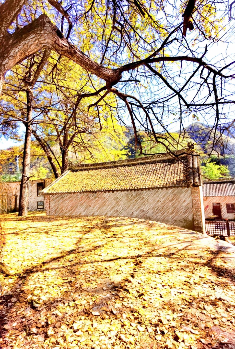 -E1YAoMb5GkCbq8iw8e6B0-7TzOTGmrslMtfHxxAUZdYjUAIhJtmYl3kRlDlmW0J