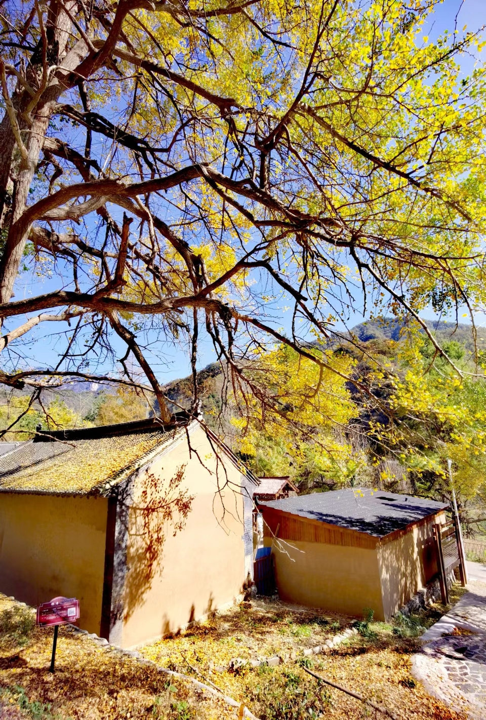 -E1YAoMb5GkCbq8iw8e6BxnV2E92hhPvGA4-Yid7lDcj-WEZKxRqb_uuI0LakEQd