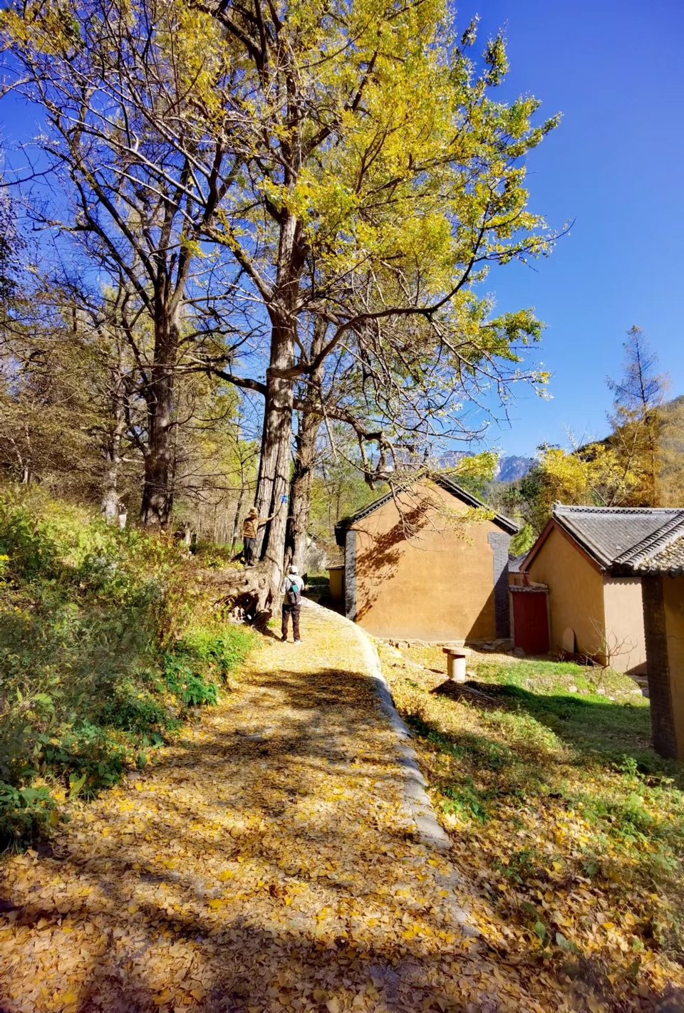 -E1YAoMb5GkCbq8iw8e6B1VuThel-wDYil8wzJka5hlXTrM3IAu6kPQvLiTYQlBo