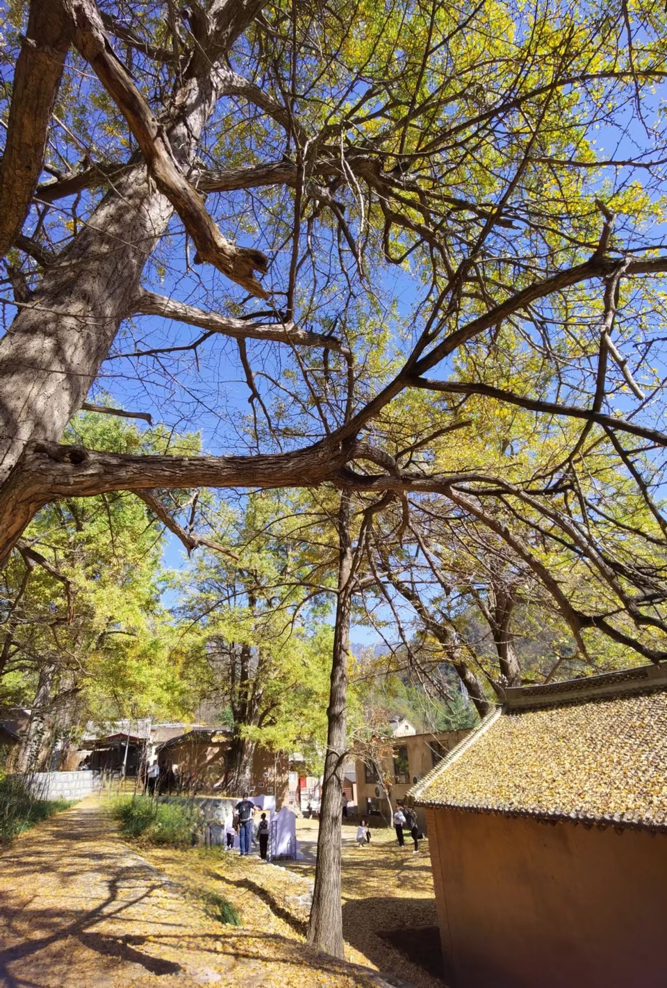 -E1YAoMb5GkCbq8iw8e6B37vkhVbbQYYI8XNxUw66CPNWzLnlVu20vwA93AmdkkB