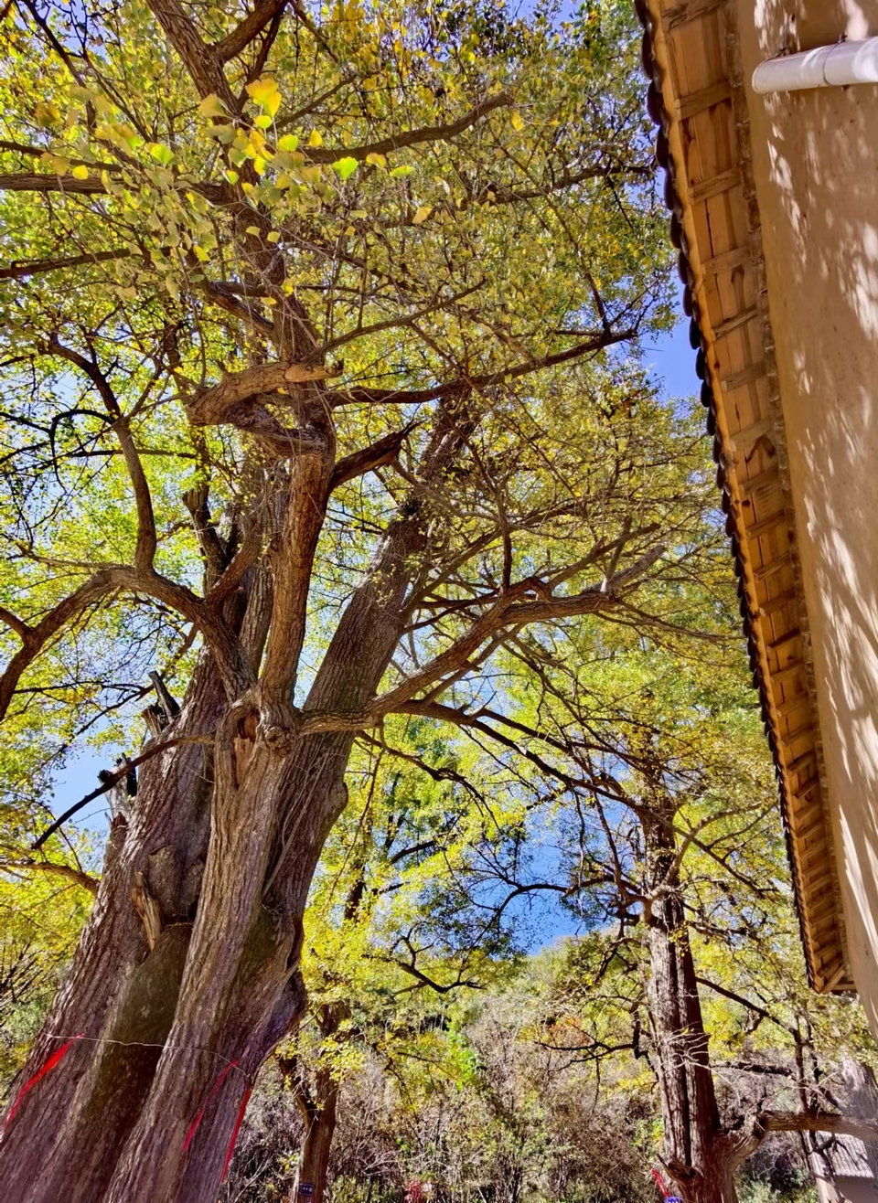 -E1YAoMb5GkCbq8iw8e6BwRr5IBtDSXlH8eYFCK32fp06f-ZC3CJuEu7NiBGKzRE