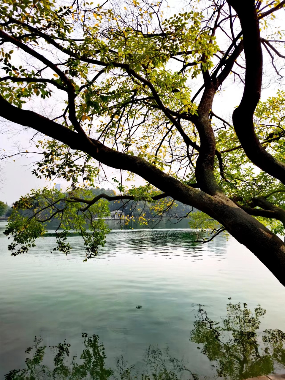 iktlRpBrerZv5i1kKmvUYYFRG2sftiLll-YuSYBsHlJ8sQN8wrIECc71j2AUp6zn