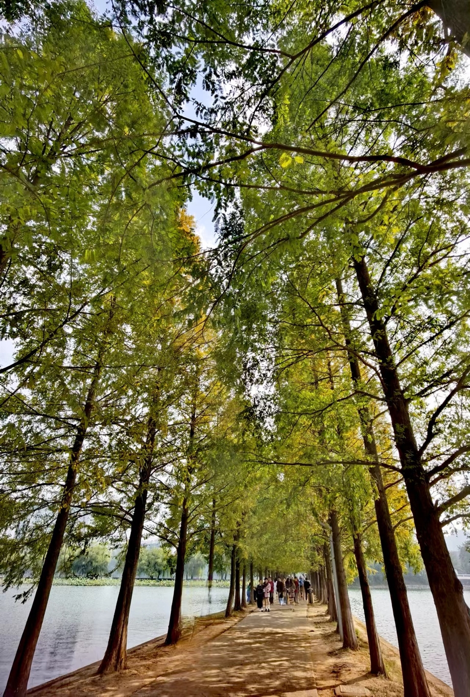 iktlRpBrerZv5i1kKmvUYXOKuAu3LnC_0GliTpWWTlPaMfjKlJM391E-Z-QlbMjK