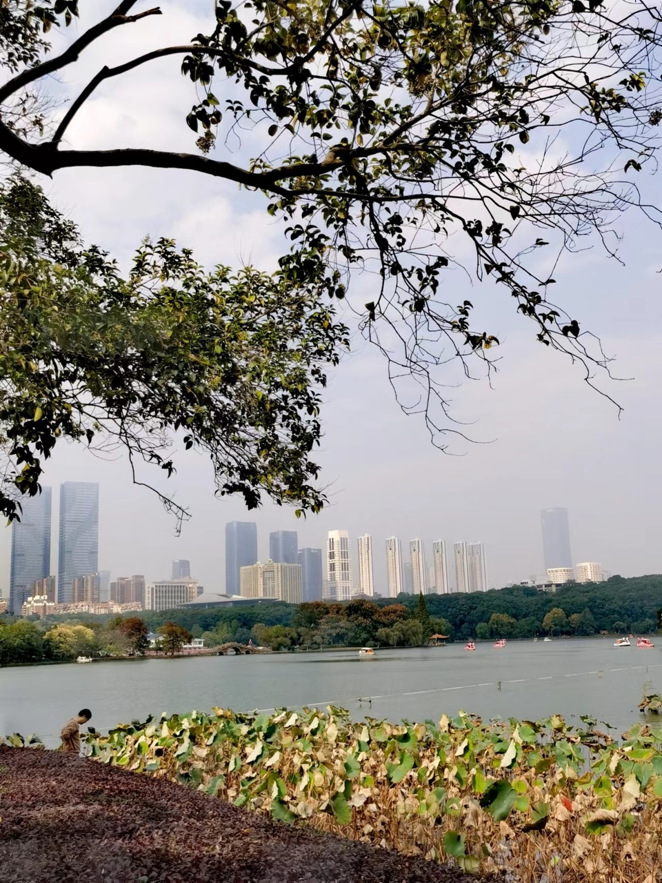 iktlRpBrerZv5i1kKmvUYRnD3i7kbcvjKQuyW7cZfQZKQwuUl8LNuOY6RudsZs0s