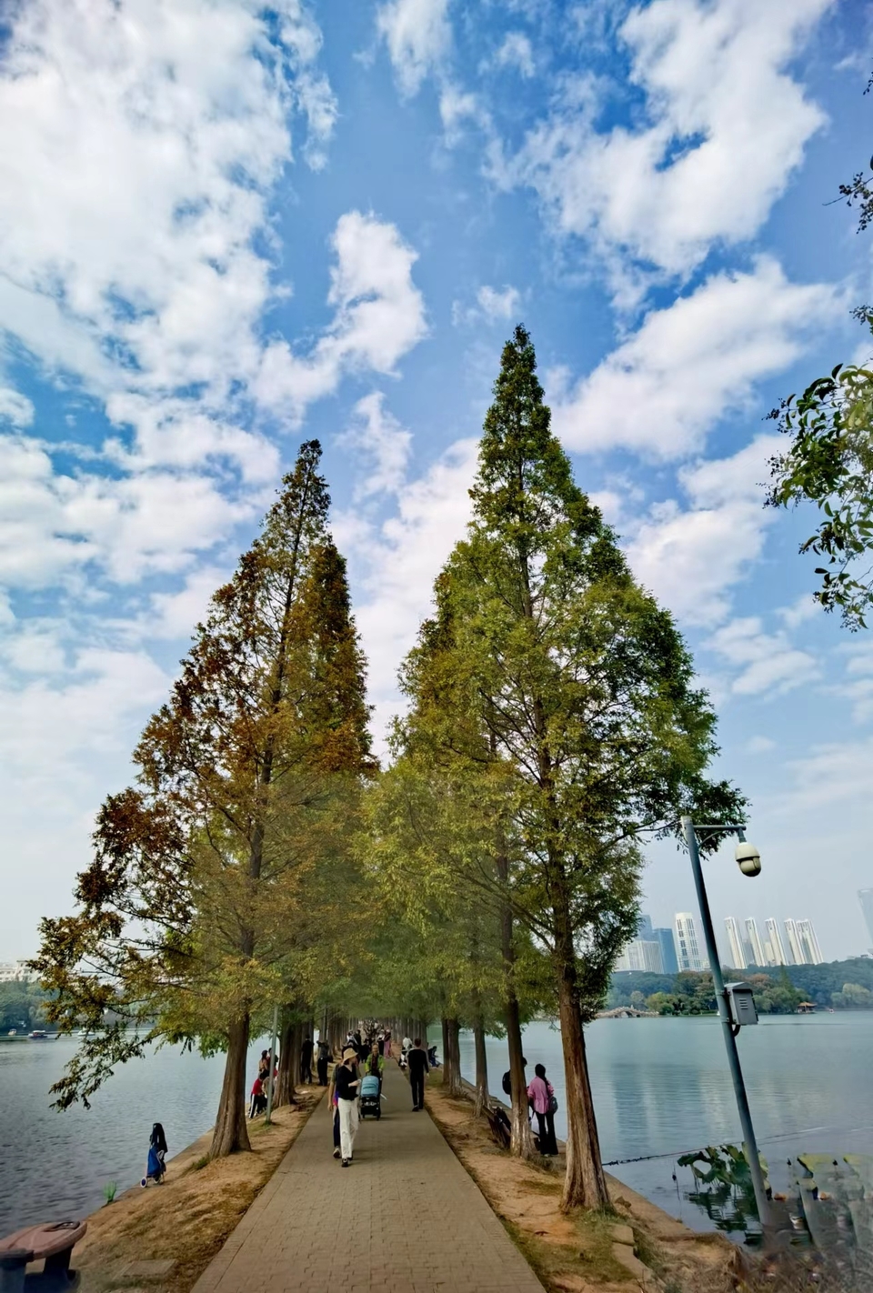 iktlRpBrerZv5i1kKmvUYdmRyTNnLg25u2vgPCnhV4LWorWzaV0X-pP9eowLwm-C