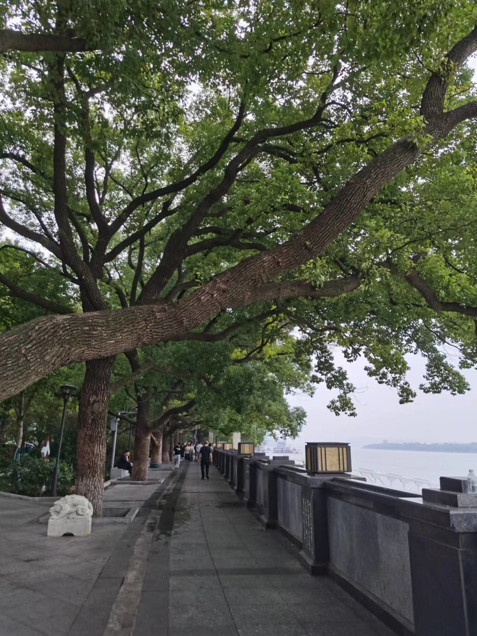 iktlRpBrerZv5i1kKmvUYZFaoCrWuEnWJgyP9maUiJ8WaaH7GbbMaawA0i00aGdr