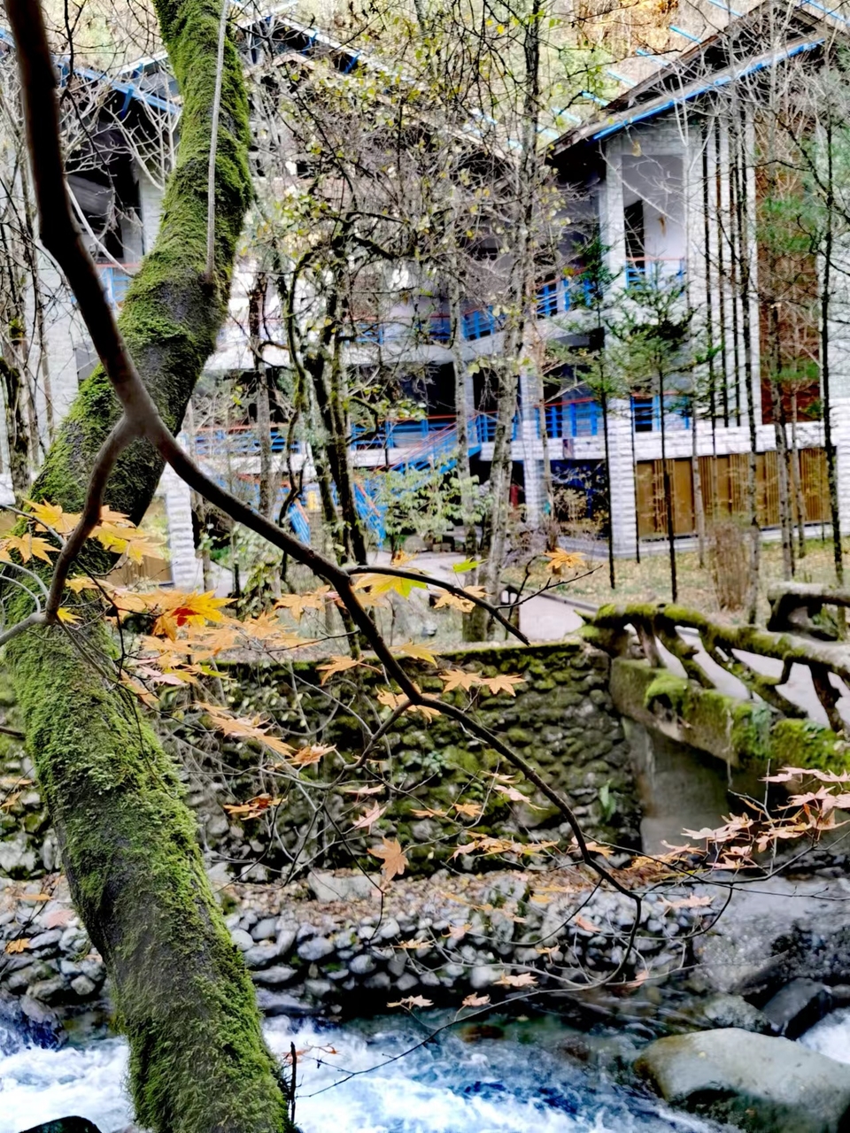 JjSB6DrPhCboqUwJ0YKyNgBnv8tWZ2noaxa3EZcO29p7JHn_MmrtqKQOEiQLgvvn